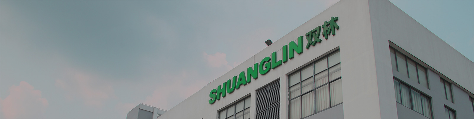 mansion88股份站群