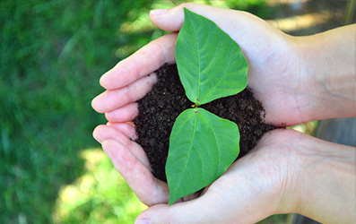 mansion88·明升(中国集团)有限公司官网