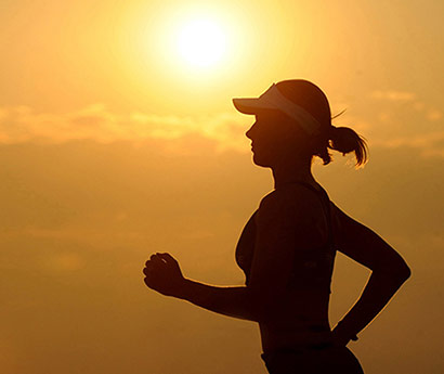 mansion88文化简述