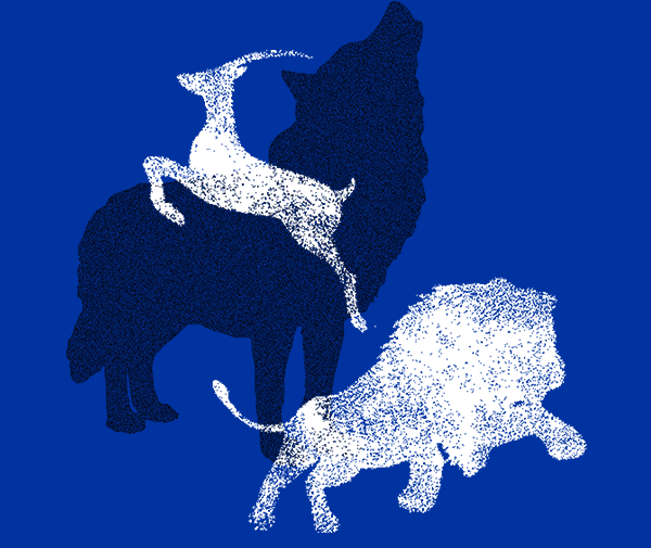 mansion88·明升(中国集团)有限公司官网